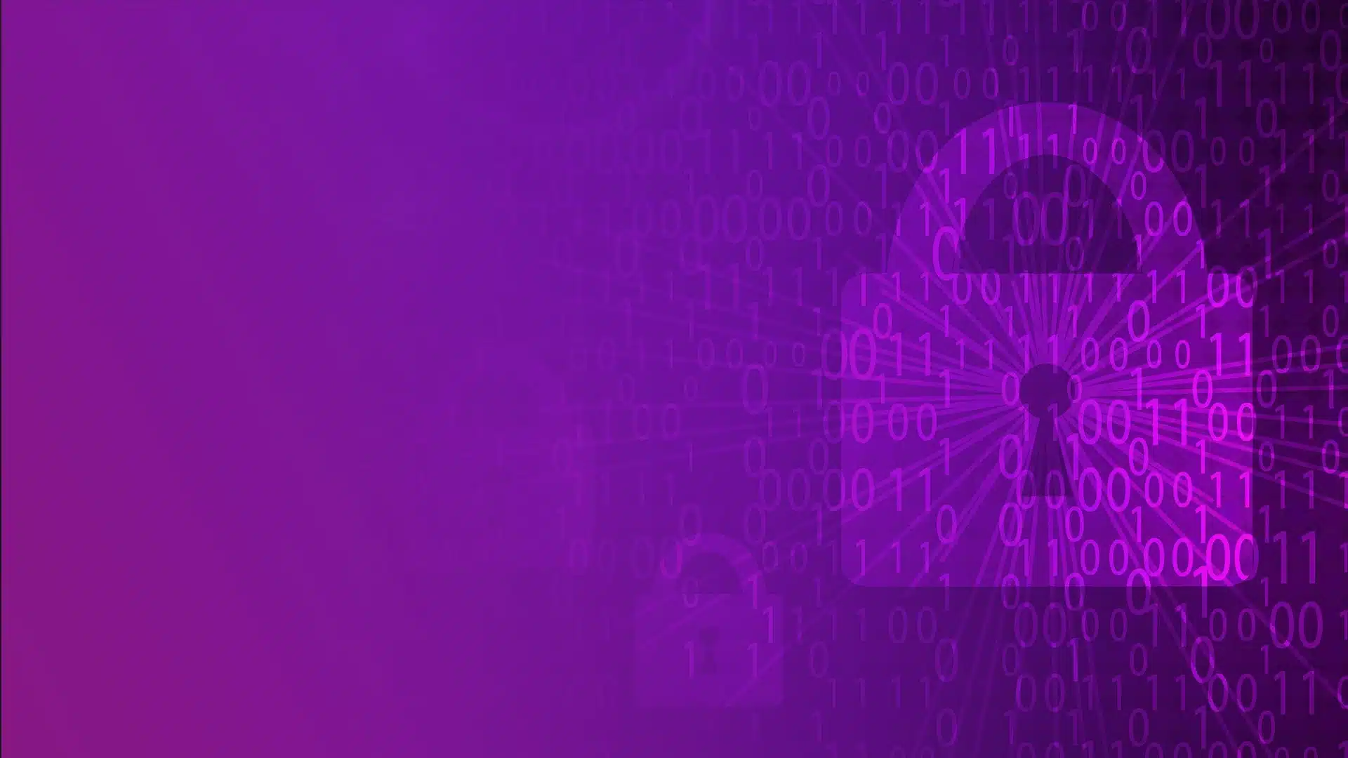 Web Application Security Analysis – CyberFox Train