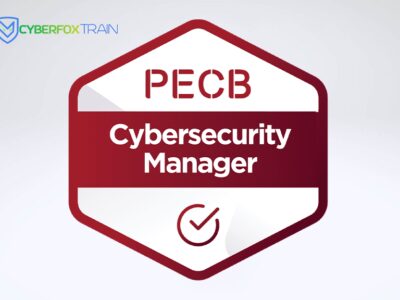 Lead Cybersecurity Manager